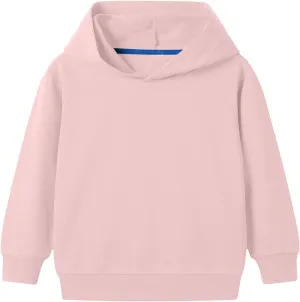 Baby Toddler Kids Boy Girl Solid Color Long Sleeve Casual Hoodie Sweatershirt Pullover Basic Clothes Tops